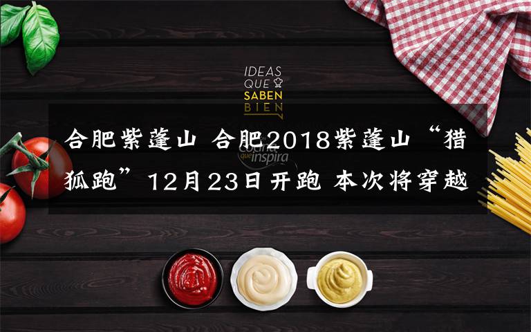 合肥紫蓬山 合肥2018紫蓬山“猎狐跑”12月23日开跑 本次将穿越紫蓬山和铭传故里