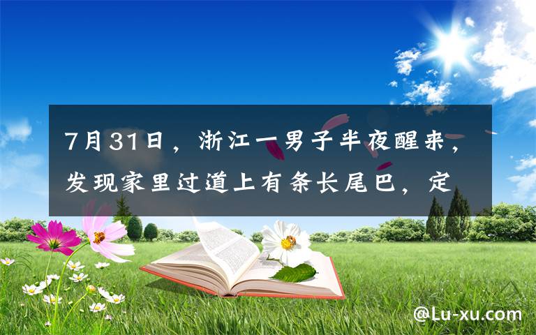 7月31日，浙江一男子半夜醒来，发现家里过道上有条长尾巴，定睛一看吓得报警。