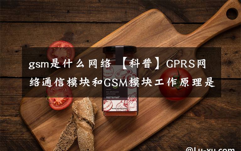 gsm是什么网络 【科普】GPRS网络通信模块和GSM模块工作原理是什么？如何使用？
