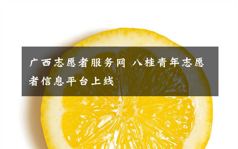 广西志愿者服务网 八桂青年志愿者信息平台上线