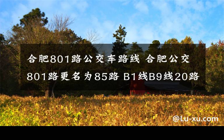 合肥801路公交车路线 合肥公交801路更名为85路 B1线B9线20路118路调整服务时间