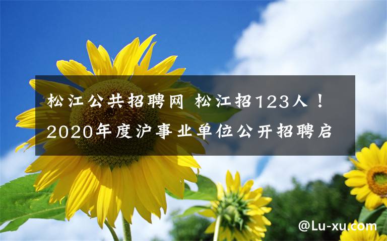 松江公共招聘网 松江招123人！2020年度沪事业单位公开招聘启动，7月13日起报名！