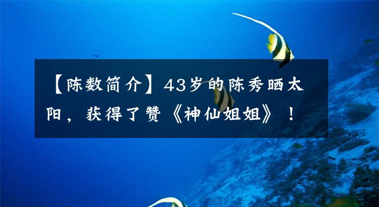 【陈数简介】43岁的陈秀晒太阳，获得了赞《神仙姐姐》！感情经历比《斯特拉》更精彩