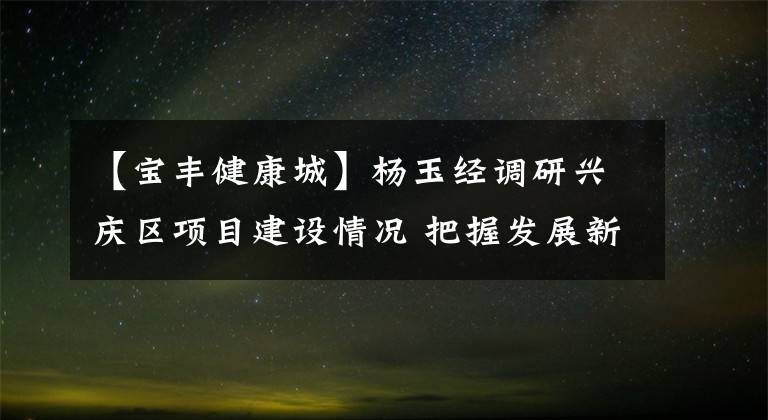 【宝丰健康城】杨玉经调研兴庆区项目建设情况 把握发展新形势 鼓足干劲抓项目 加快恢复经济社会运行秩序