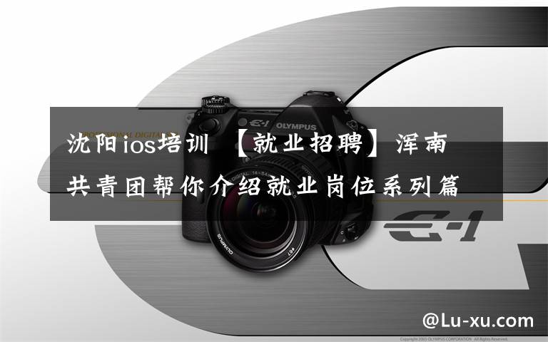 沈阳ios培训 【就业招聘】浑南共青团帮你介绍就业岗位系列篇—沈阳国际软件园企业岗位专篇二