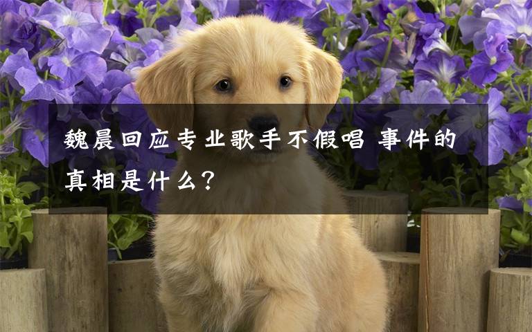 魏晨回应专业歌手不假唱 事件的真相是什么？