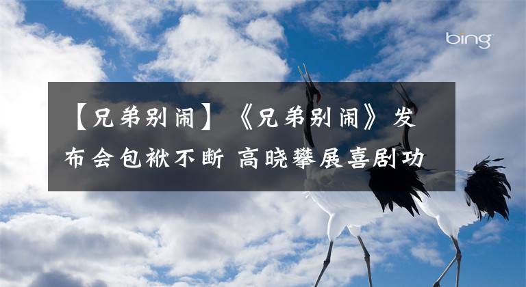 【兄弟别闹】《兄弟别闹》发布会包袱不断 高晓攀展喜剧功底