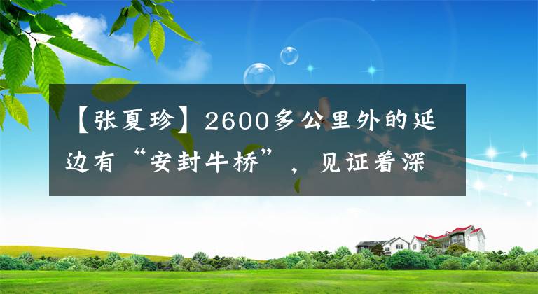 【张夏珍】2600多公里外的延边有“安封牛桥”，见证着深厚的友谊