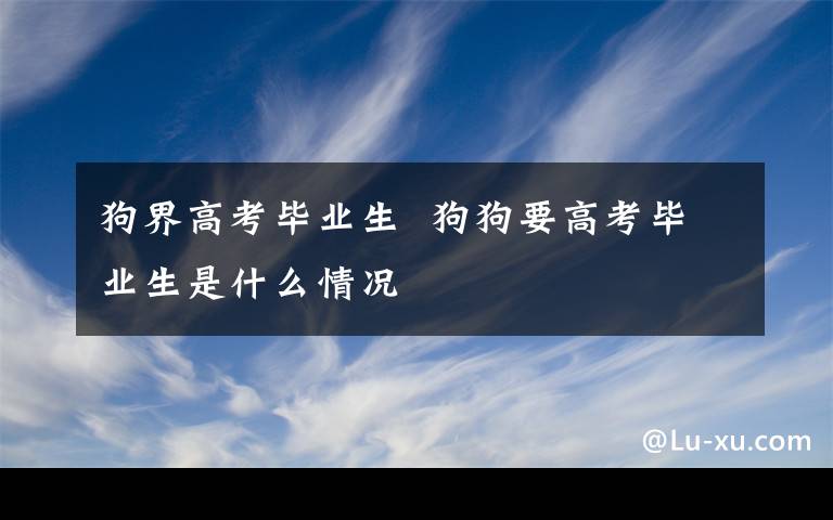 狗界高考毕业生  狗狗要高考毕业生是什么情况