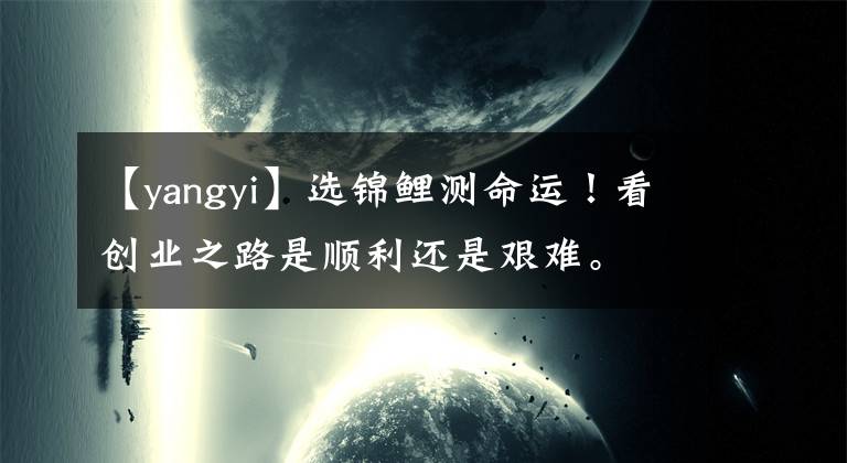 【yangyi】选锦鲤测命运！看创业之路是顺利还是艰难。