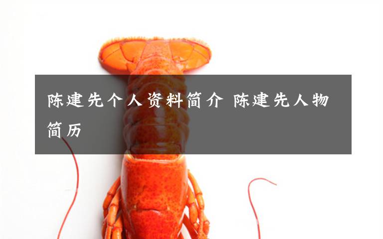 陈建先个人资料简介 陈建先人物简历文章配图