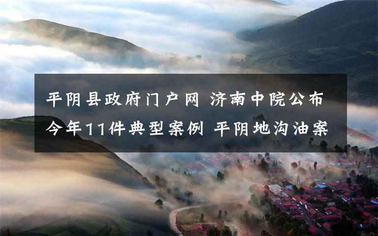 平阴县政府门户网 济南中院公布今年11件典型案例 平阴地沟油案在列