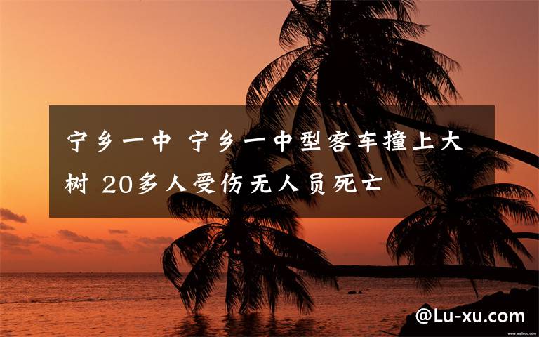 宁乡一中 宁乡一中型客车撞上大树 20多人受伤无人员死亡