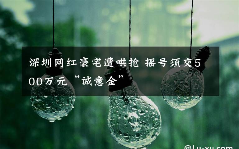 深圳网红豪宅遭哄抢 摇号须交500万元“诚意金”