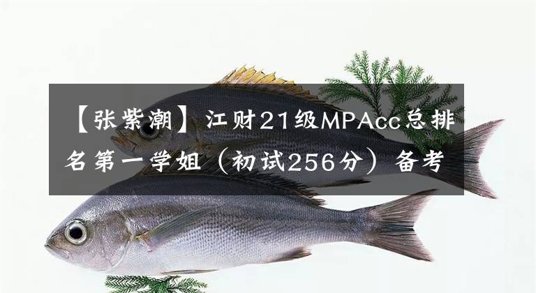 【张紫潮】江财21级MPAcc总排名第一学姐（初试256分）备考经验分享