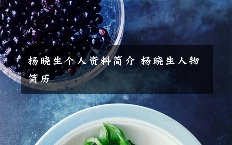 杨晓生个人资料简介 杨晓生人物简历文章配图