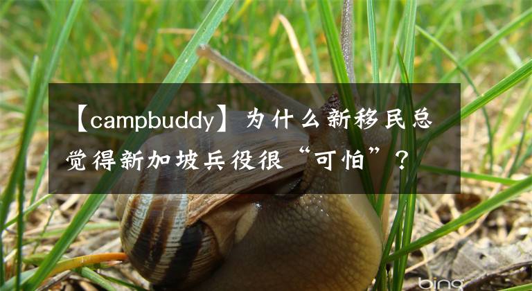 【campbuddy】为什么新移民总觉得新加坡兵役很“可怕”？