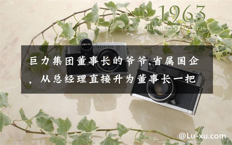 巨力集团董事长的爷爷,省属国企，从总经理直接升为董事长一把手，这种人是不是后台很牛的？