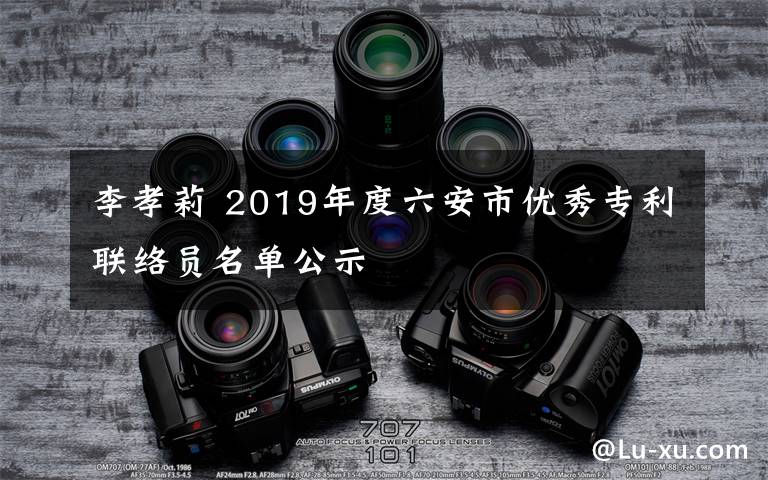李孝莉 2019年度六安市优秀专利联络员名单公示