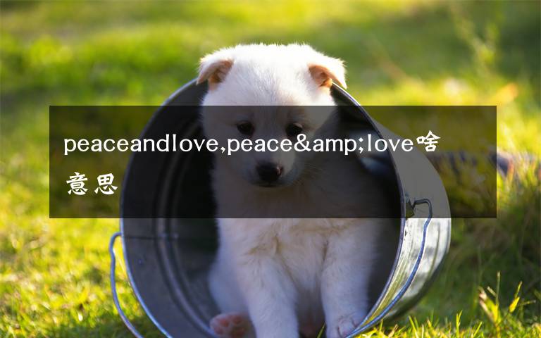 peaceandlove,peace&love啥意思