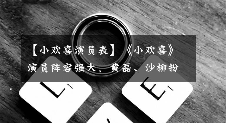 【小欢喜演员表】《小欢喜》演员阵容强大，黄磊、沙柳扮演了搞笑的角色，这个小演员不简单。