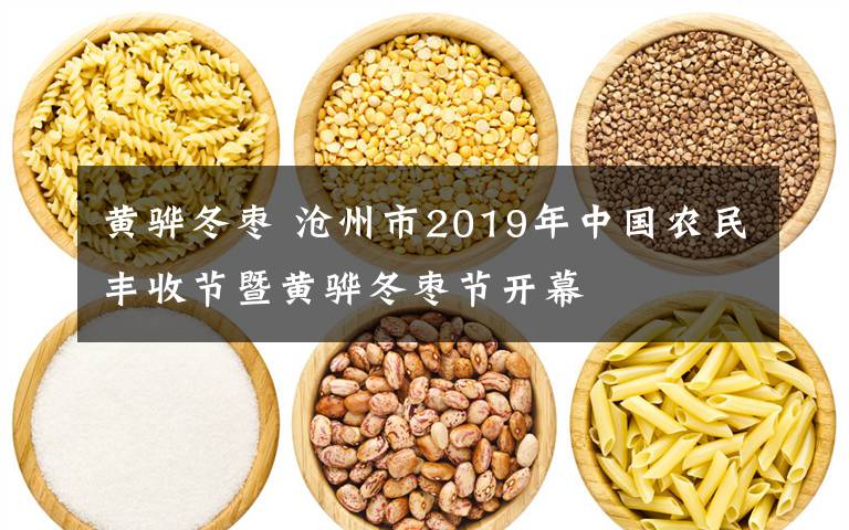 黄骅冬枣 沧州市2019年中国农民丰收节暨黄骅冬枣节开幕