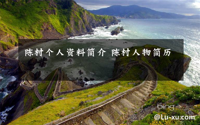 陈村个人资料简介 陈村人物简历文章配图