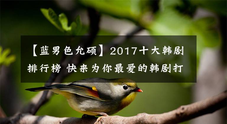 【蓝男色允硕】2017十大韩剧排行榜 快来为你最爱的韩剧打call吧