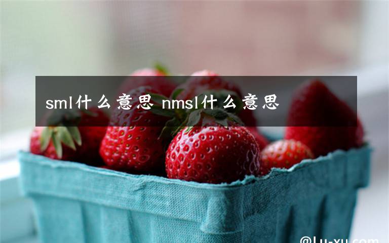 sml什么意思 nmsl什么意思