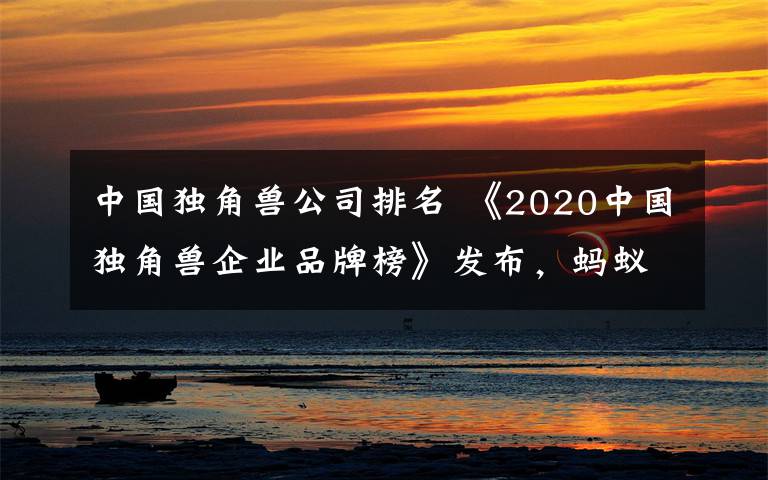 中国独角兽公司排名 《2020中国独角兽企业品牌榜》发布，蚂蚁集团、字节跳动、滴滴出行排名前三