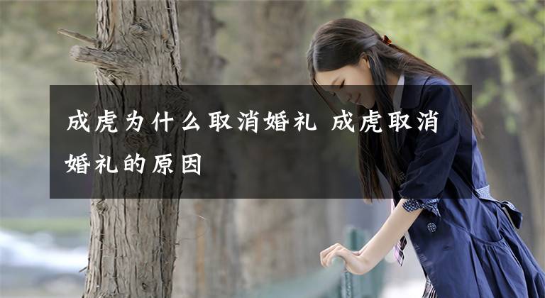 成虎为什么取消婚礼 成虎取消婚礼的原因