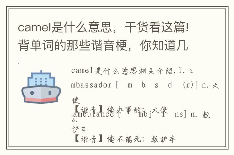 camel是什么意思，干货看这篇!背单词的那些谐音梗，你知道几个？