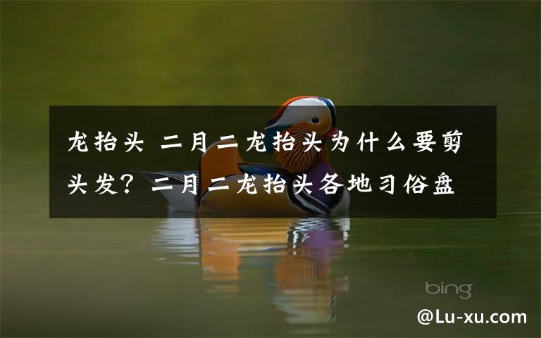 龙抬头 二月二龙抬头为什么要剪头发？二月二龙抬头各地习俗盘点