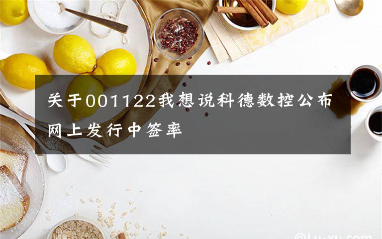 关于001122我想说科德数控公布网上发行中签率