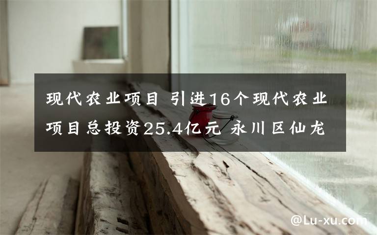 现代农业项目 引进16个现代农业项目总投资25.4亿元 永川区仙龙镇着力打造川渝地区有机农业示范镇