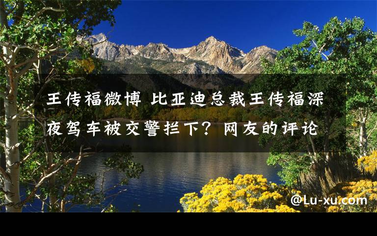 王传福微博 比亚迪总裁王传福深夜驾车被交警拦下？网友的评论亮了