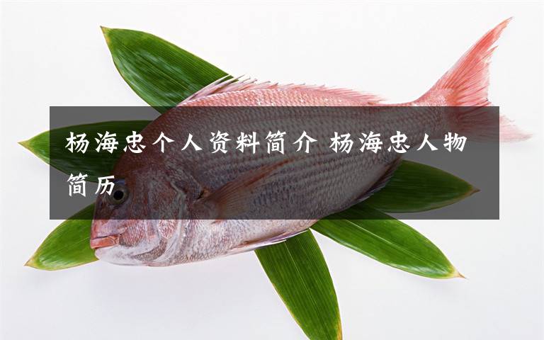 杨海忠个人资料简介 杨海忠人物简历文章配图