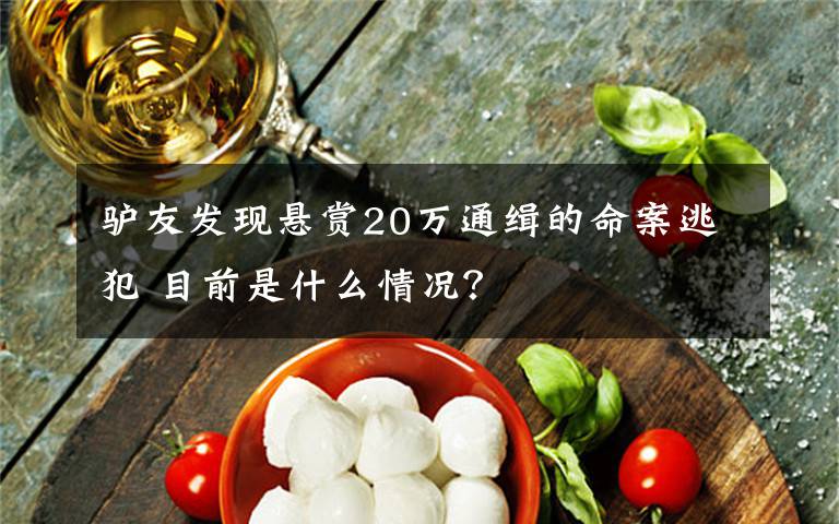 驴友发现悬赏20万通缉的命案逃犯 目前是什么情况？