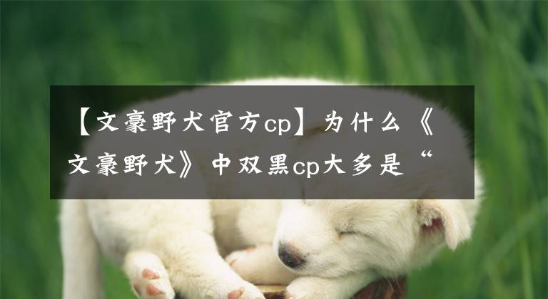 【文豪野犬官方cp】为什么《文豪野犬》中双黑cp大多是“太中”，而不是“中太”？