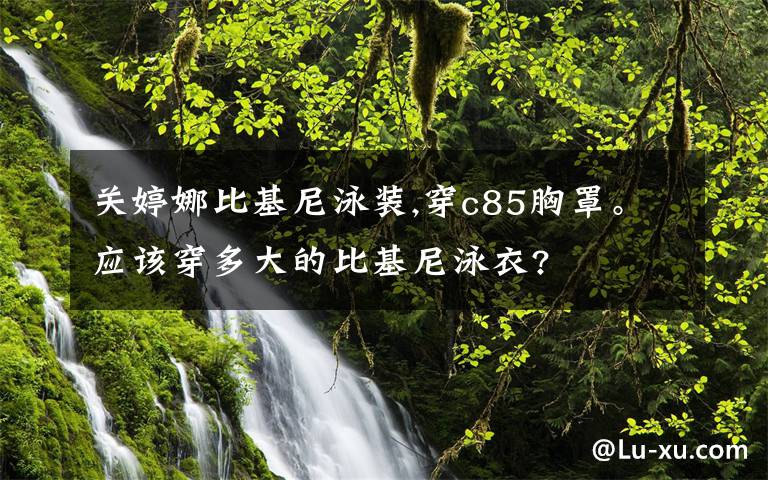 关婷娜比基尼泳装,穿c85胸罩。应该穿多大的比基尼泳衣?