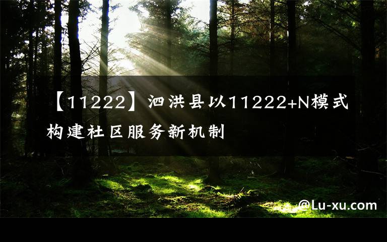 【11222】泗洪县以11222+N模式构建社区服务新机制