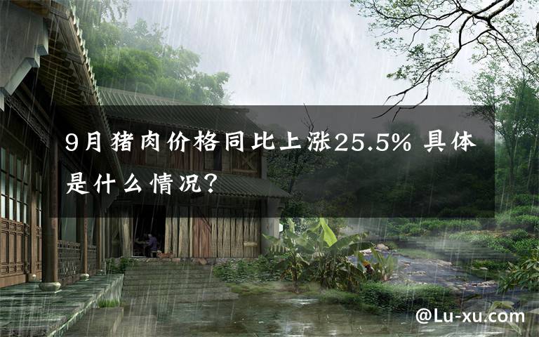 9月猪肉价格同比上涨25.5% 具体是什么情况？