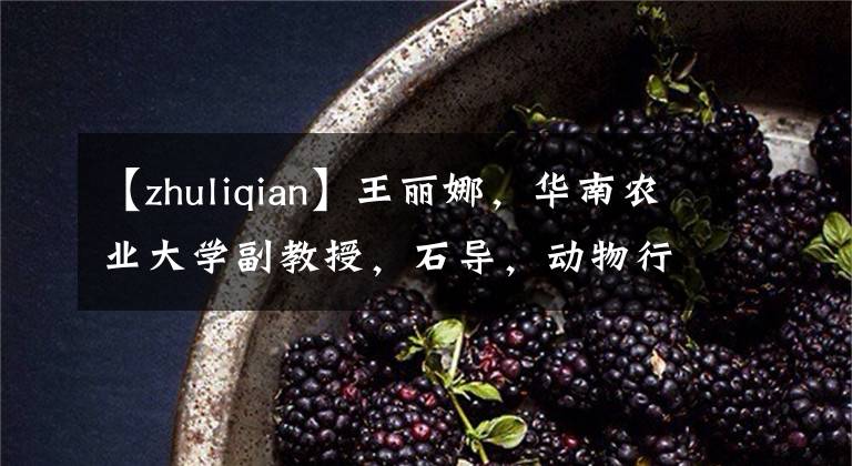 【zhuliqian】王丽娜，华南农业大学副教授，石导，动物行为福利研究专家。