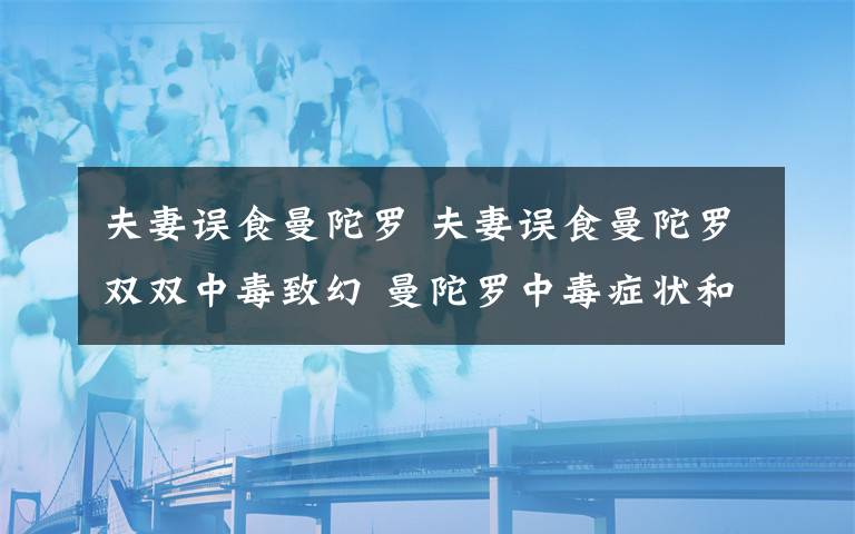 夫妻误食曼陀罗 夫妻误食曼陀罗双双中毒致幻 曼陀罗中毒症状和解救方法必须掌握