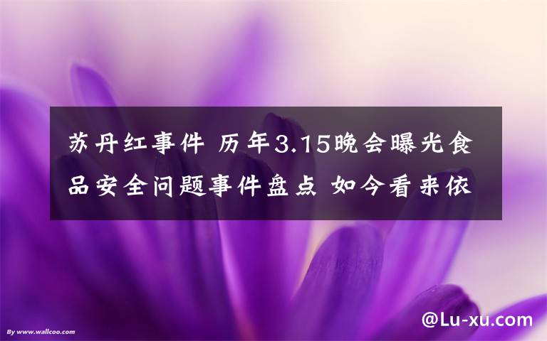 苏丹红事件 历年3.15晚会曝光食品安全问题事件盘点 如今看来依然触目惊心