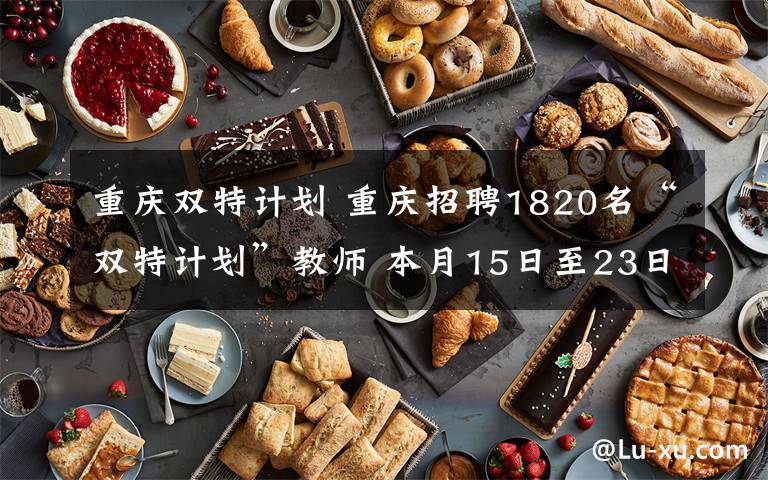 重庆双特计划 重庆招聘1820名“双特计划”教师 本月15日至23日报名