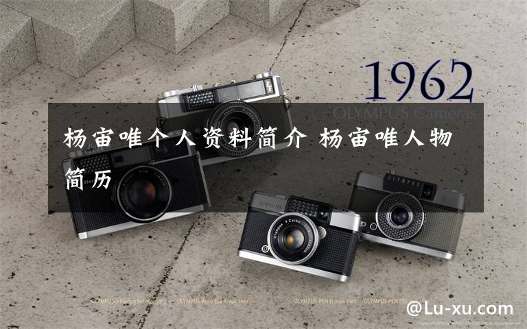 杨宙唯个人资料简介 杨宙唯人物简历