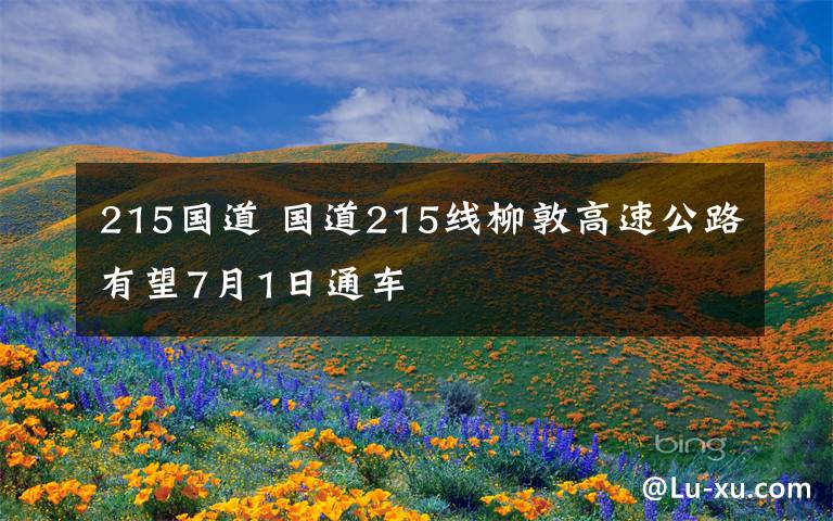 215国道 国道215线柳敦高速公路有望7月1日通车