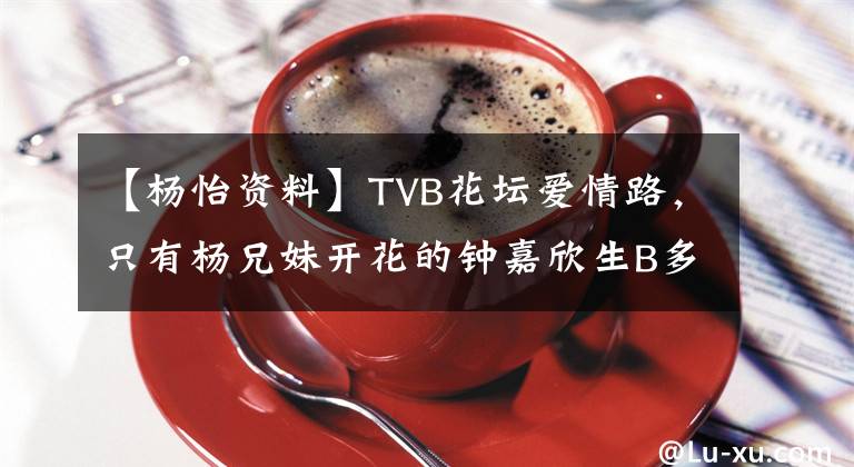 【杨怡资料】TVB花坛爱情路，只有杨兄妹开花的钟嘉欣生B多诗徐资产在寻找爱情。