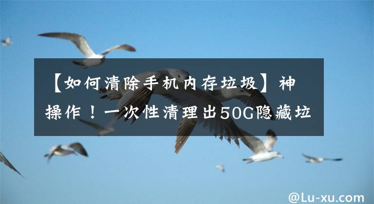 【如何清除手机内存垃圾】神操作！一次性清理出50G隐藏垃圾，再不怕手机内存不够用了